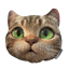 Picture of Brunswick Cat Grip Sack