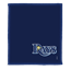 Picture of KR Strikeforce MLB Tampa Bay Rays Shammy Pad